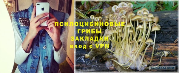 твердый Балахна